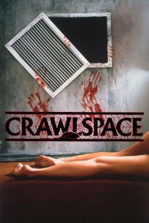 crawlspace2
