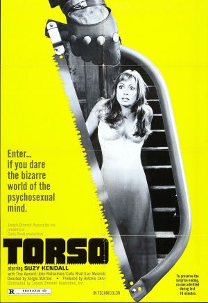 torso poster.jpg