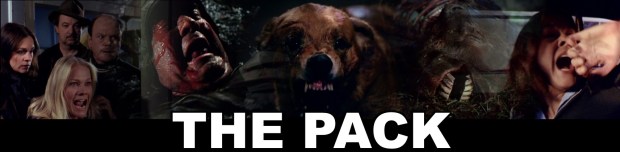 packbanner