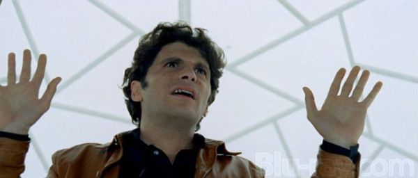 Bird Crystal Plumage 3