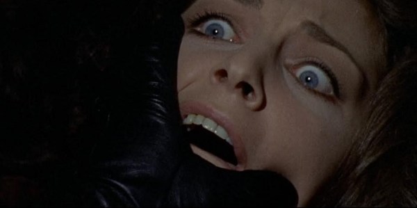 Bird Crystal Plumage 6