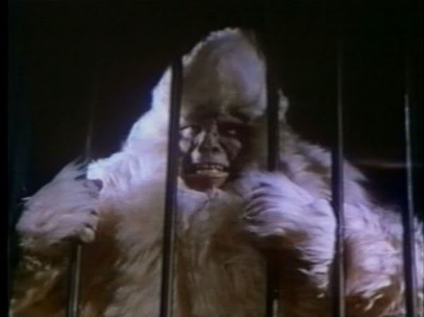 capture of bigfoot1 - Copy